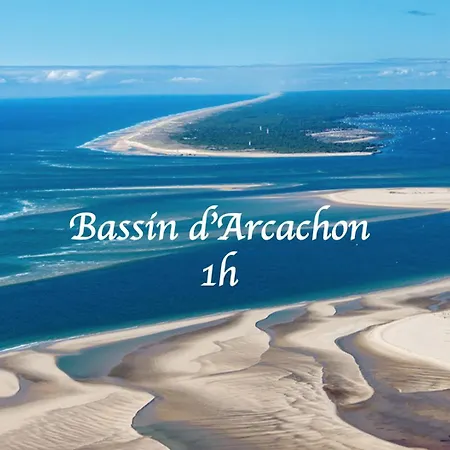 Cosy Wifi Terrasse Chu-cite Administrative-primrose ボルドー