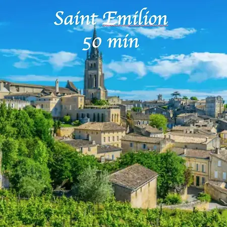 アパート Cosy Wifi Terrasse Chu-cite Administrative-primrose *