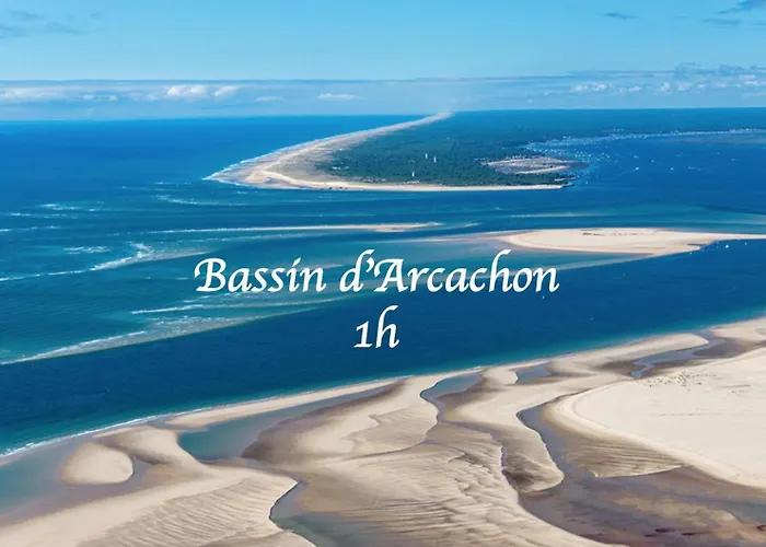 Cosy Wifi Terrasse Chu-cite Administrative-primrose Bordeaux